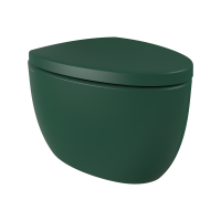 Vas WC functie de bideu Etna Verde Mat 1116-027-0128